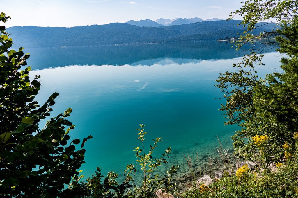 Klares Wasser - Der Walchensee liegt in einem Landschaftsschutzgebiet. - © alpintreff.de - Christian Schön